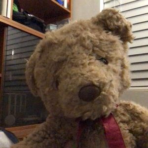 Meet your Posher, Ama